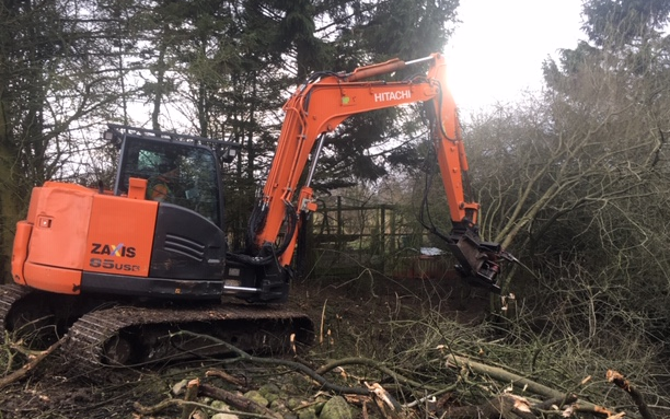 Avlund skov & træpleje med Skovning/beskæring ved Ringsted