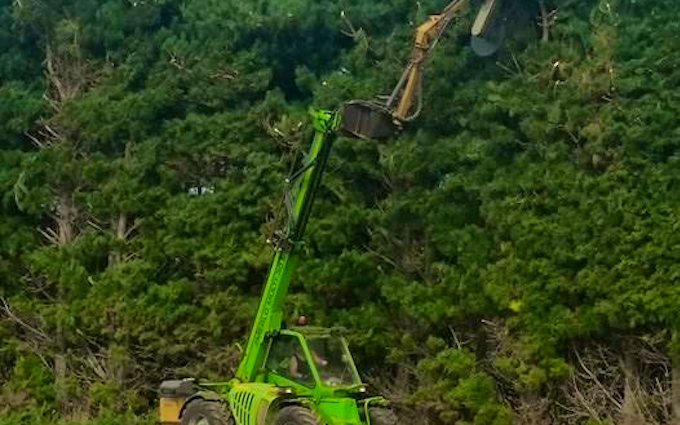 Doin it ltd contracting with Hedge cutter/mulcher at Manaia