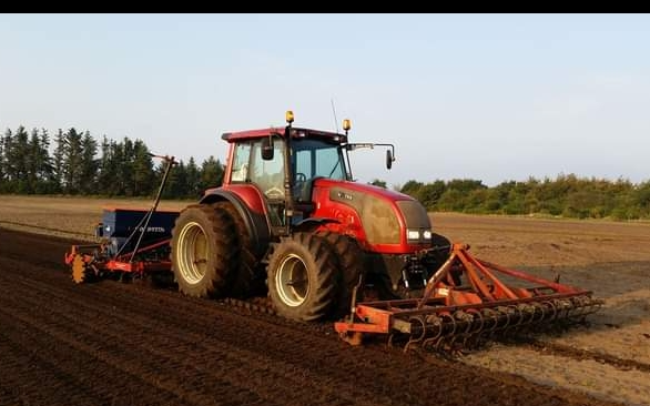 Hegnsklipning  med Såmaskine ved Ringkøbing