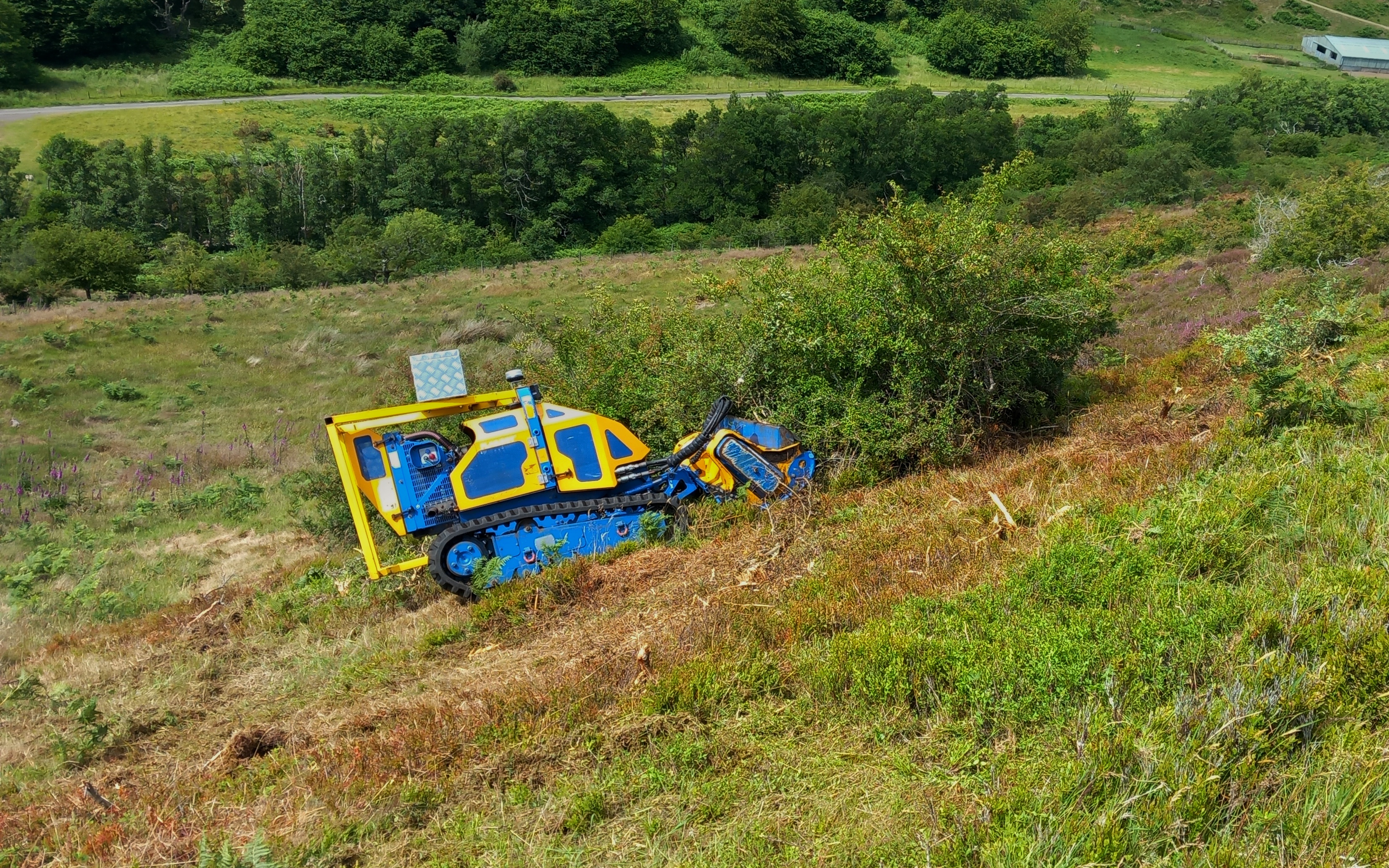 Curlew services  with Verge/flail Mower at Northumberland