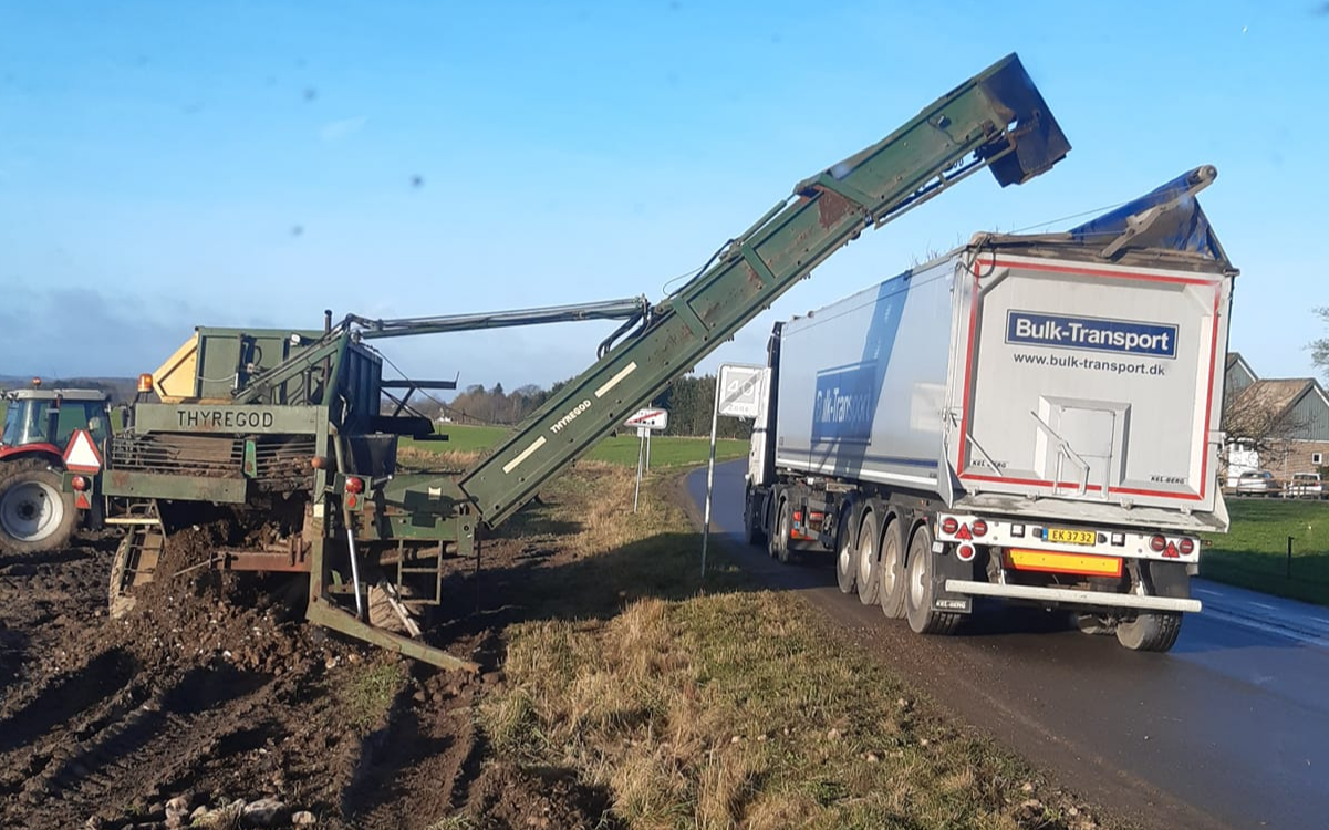 Albert rasmussen med Roelæsser ved Hørning