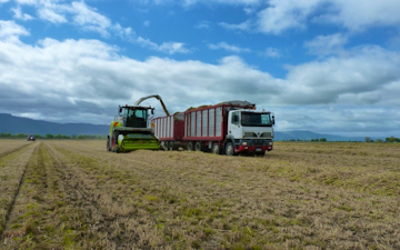 Jackson contracting  with Silage trailer at Tauhei