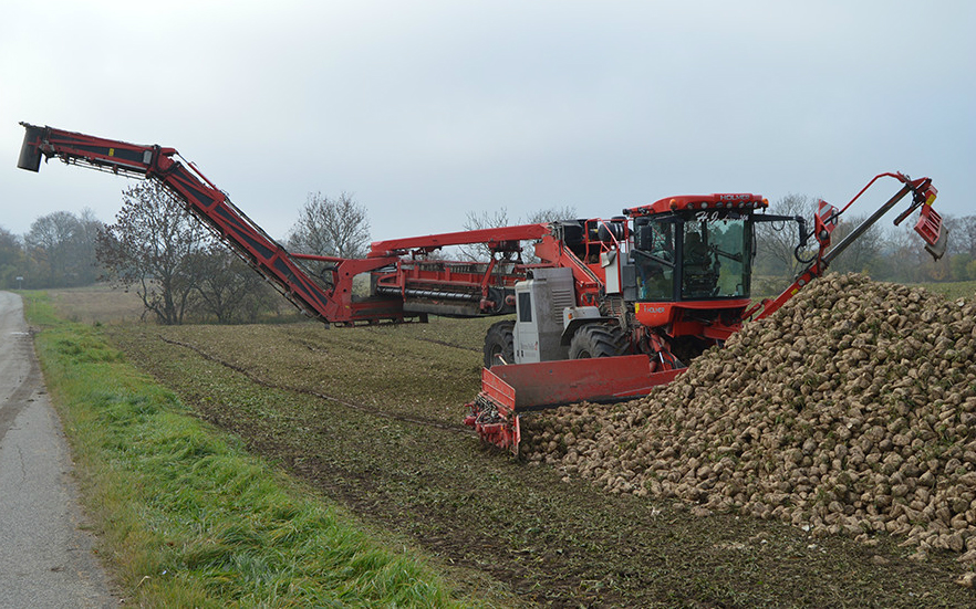 Radbjerg v/ h. j. larsen med Roelæsser ved Væggerløse