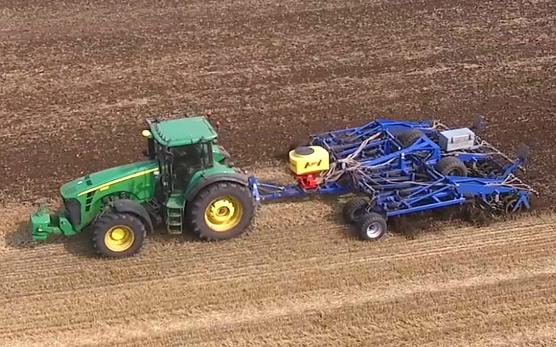 Bimpel med Dybdeharve ved Tønder