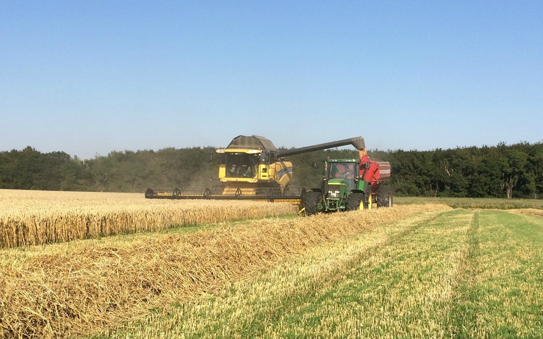 Lærkesminde med Mejetærskning ved Øster-Ulslev