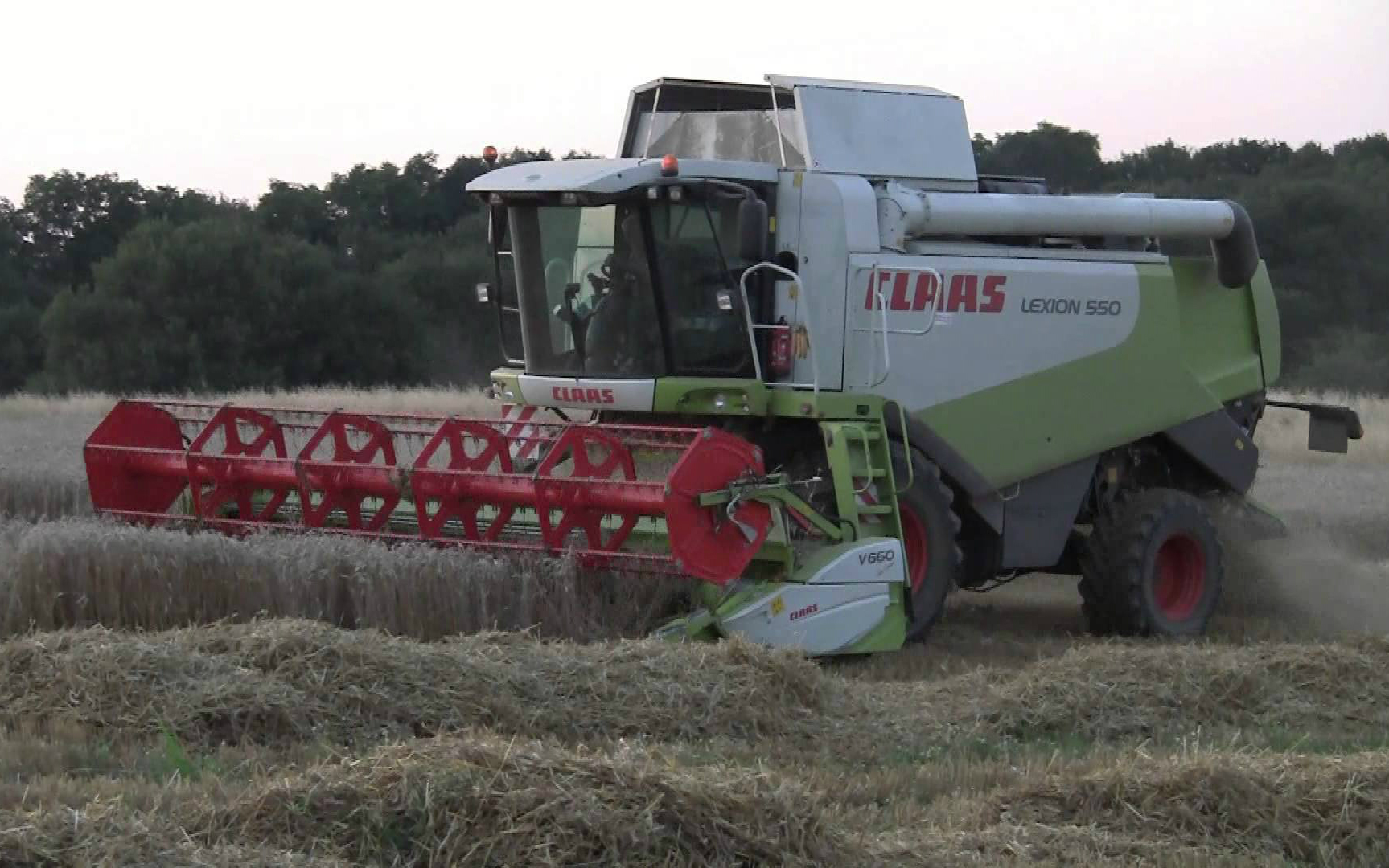 Skovgaard planteavl & juletræer med Mejetærskning ved Kjellerup