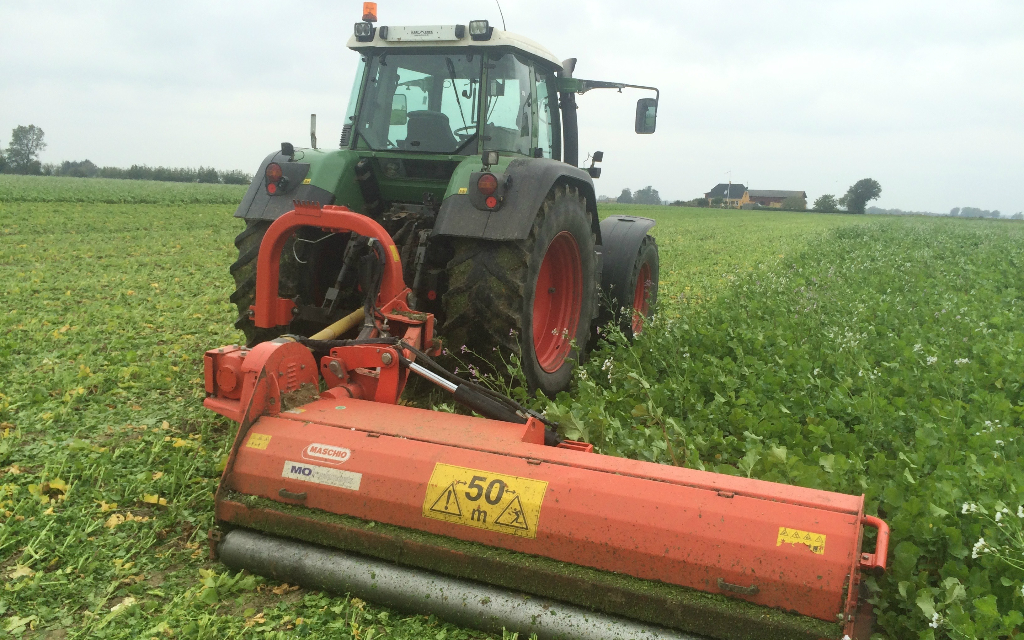 Svenskovgaard med Brakpudser ved Errindlev