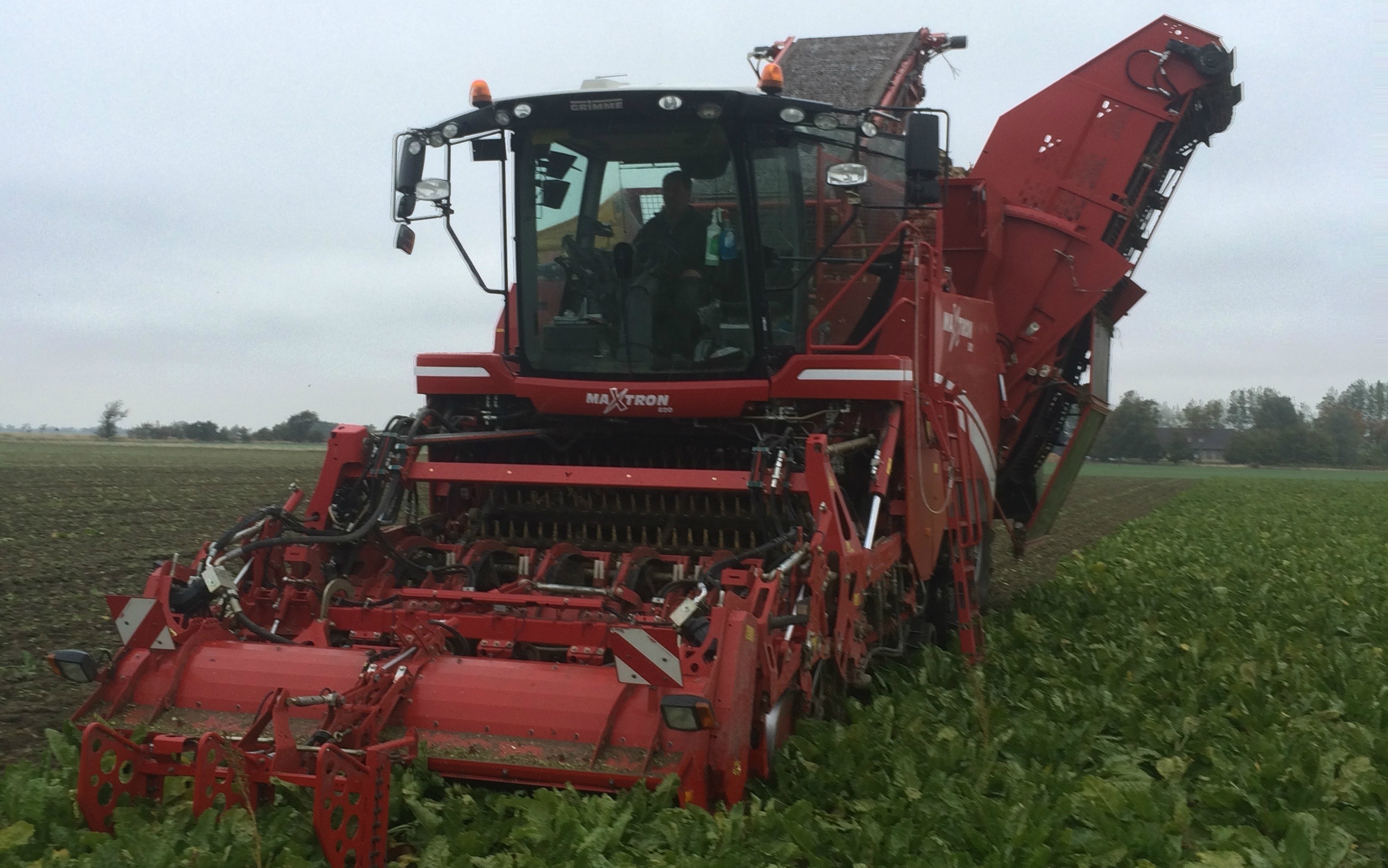 Tågeruplund med Roeoptager ved Rødby