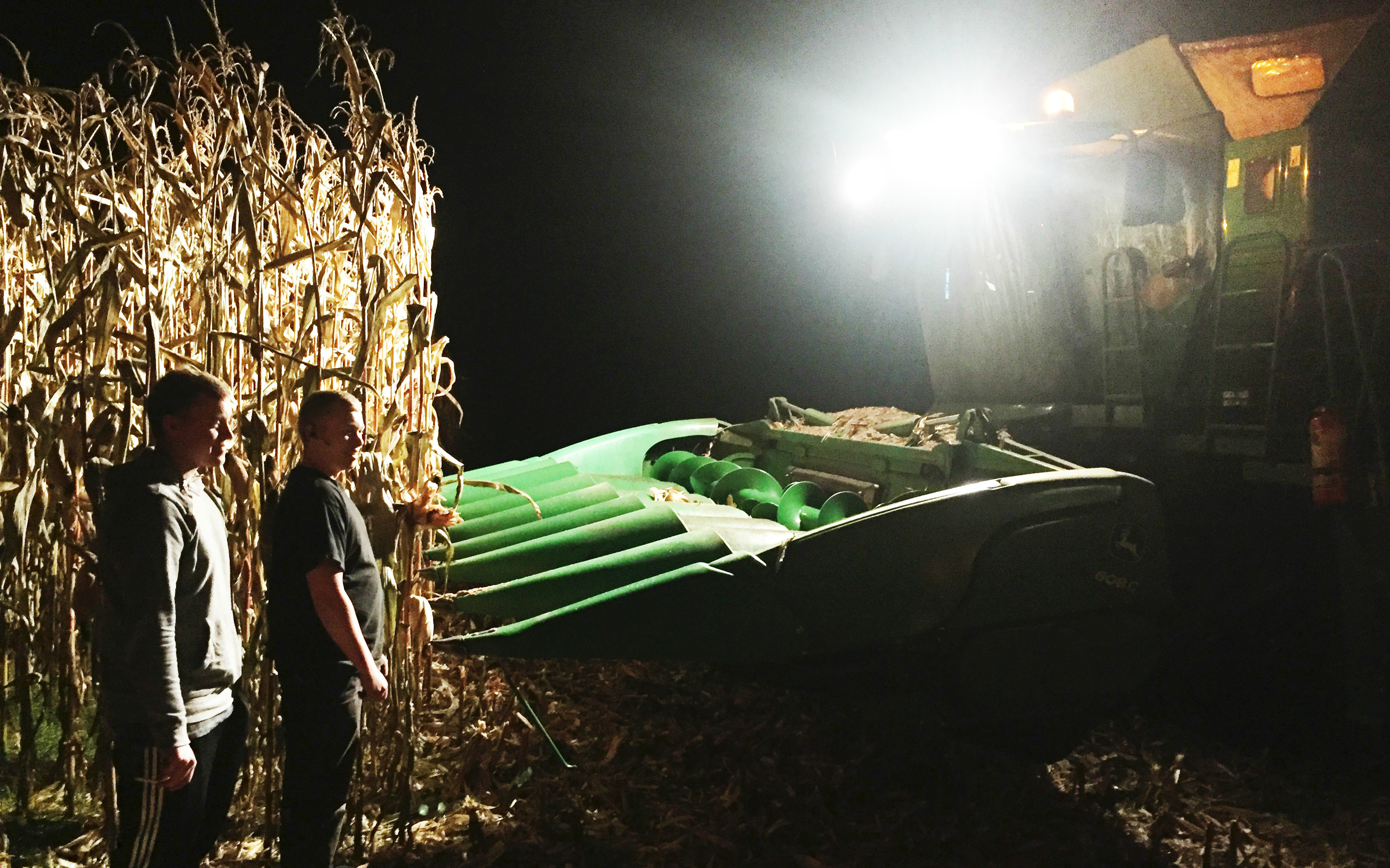 Hsh agro i/s med Mejetærskning ved Hadsund