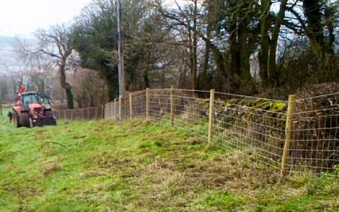 J. dakin with Fencing at Snitterton