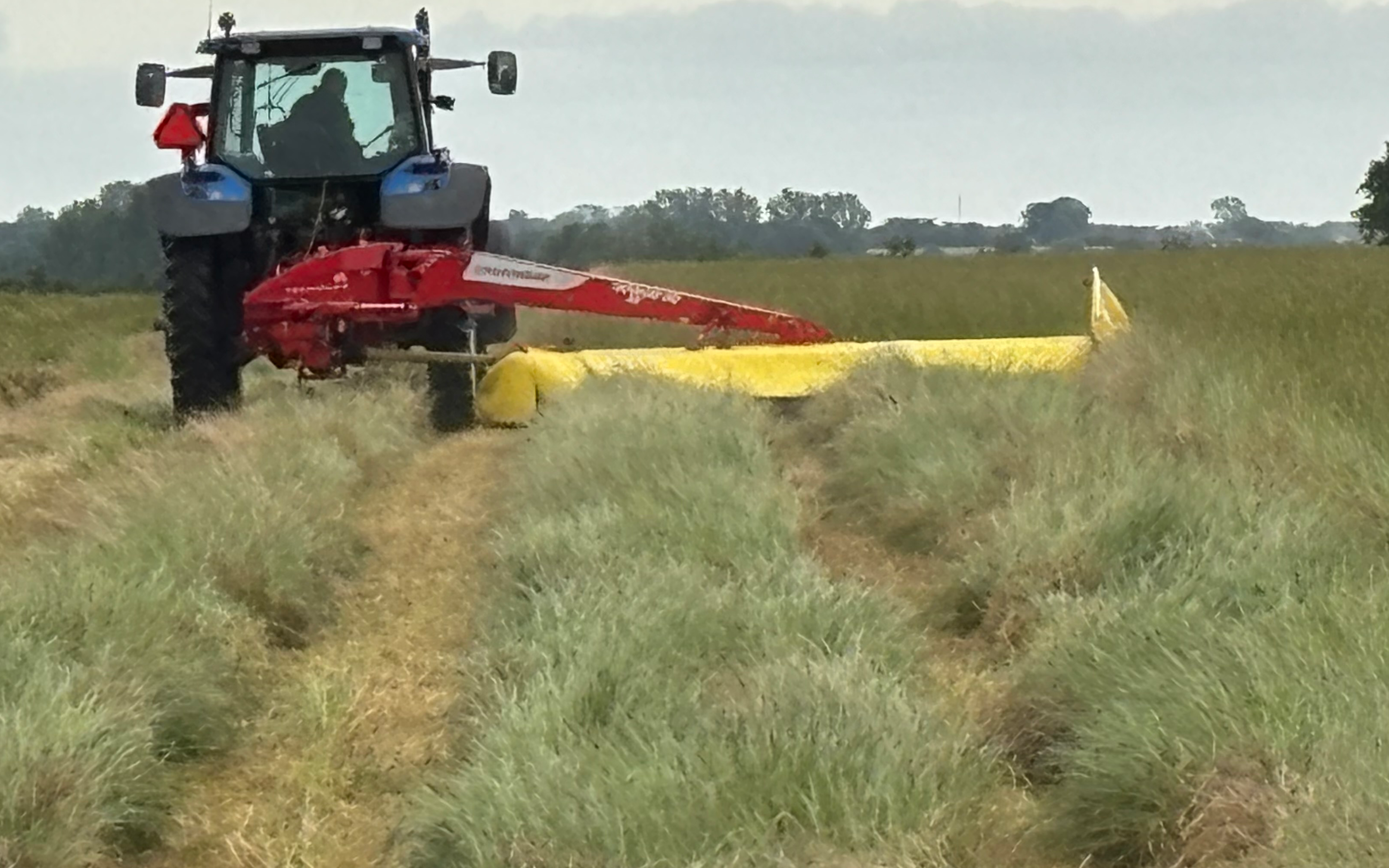 Guldbjerg agro med Skårlægger ved Guldbjergvej