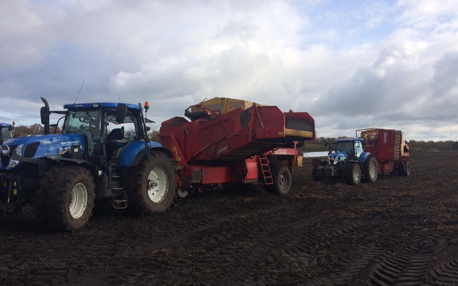 Brdr. rasmussens a/s med Kartoffeloptager ved Kibæk