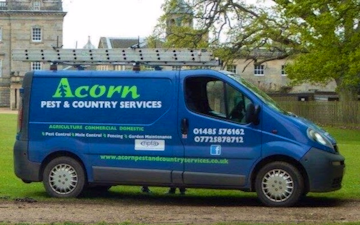 Acorn pest and country services with Pest control at Wicken Green