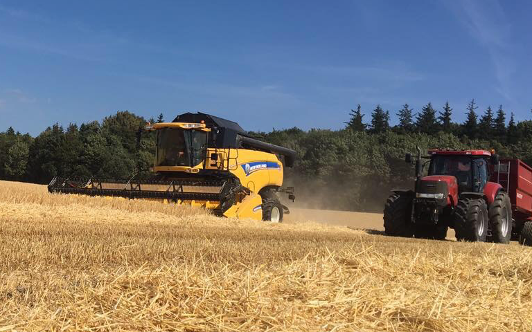 Løvskovslund  med Mejetærskning ved Sporup