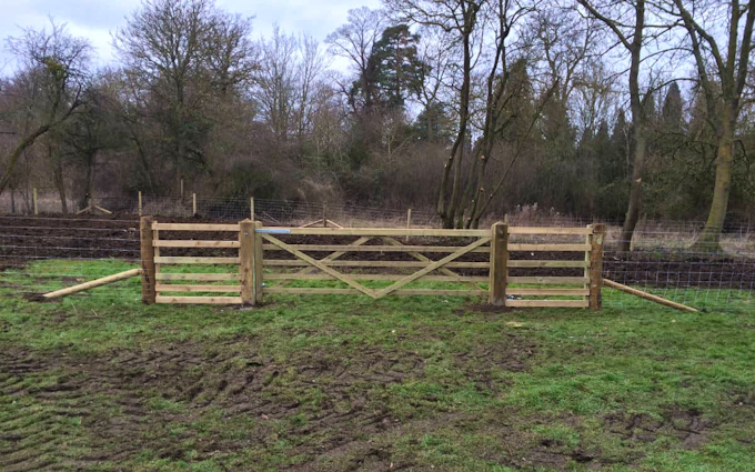 Darsdale contracts limited  with Fencing at Ringstead