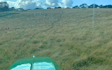 Ksj davies grassland overseeding  with Verge/flail Mower at Redwick