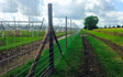 Southern countryside services  with Fencing at Penshurst