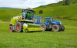 Jackson contracting  with Forage harvester at Tauhei