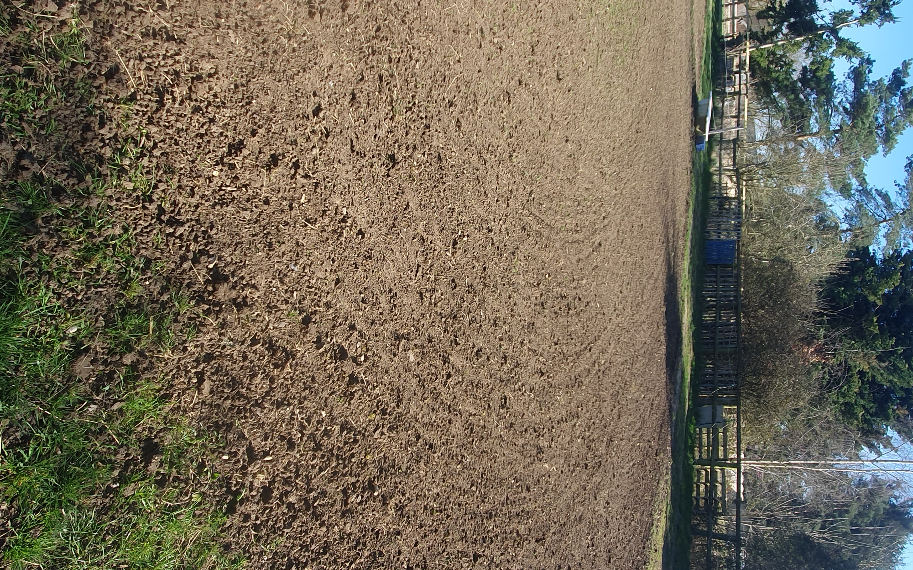 Bradley goss paddock & agri services with Chain harrow at West Wickham