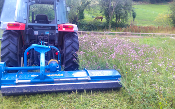 Ftgu-services with Verge/flail Mower at Chesterfield Road