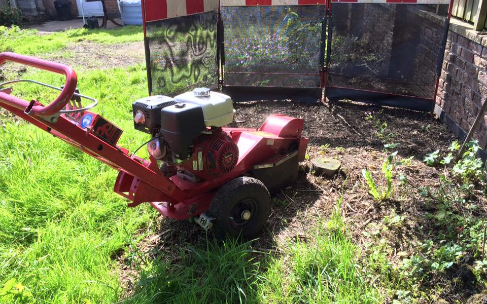 L neal tree surgery  with Grinder at Parkdale
