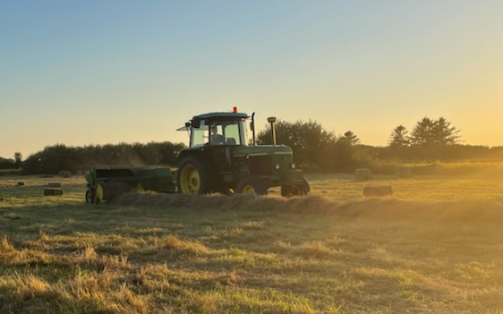 Bækgaard - planteavl & maskinstation  med Småballepresser ved Gørding