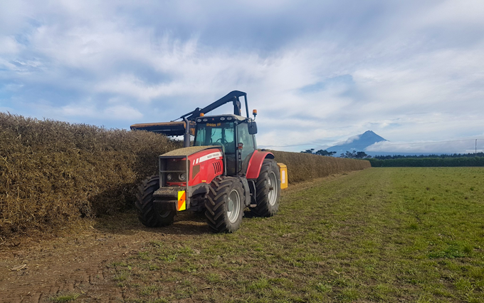 Doin it ltd contracting with Hedge cutter/mulcher at Manaia