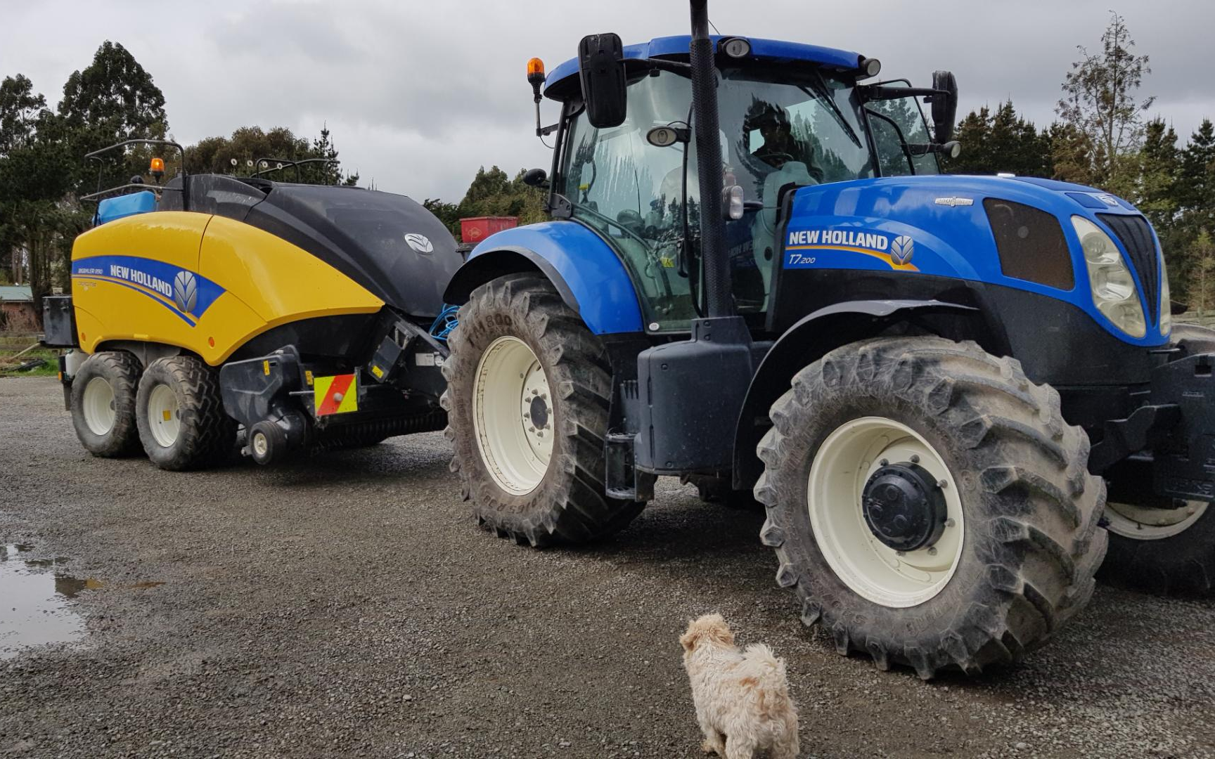 Woudenberg contracting with Large square baler at West Melton