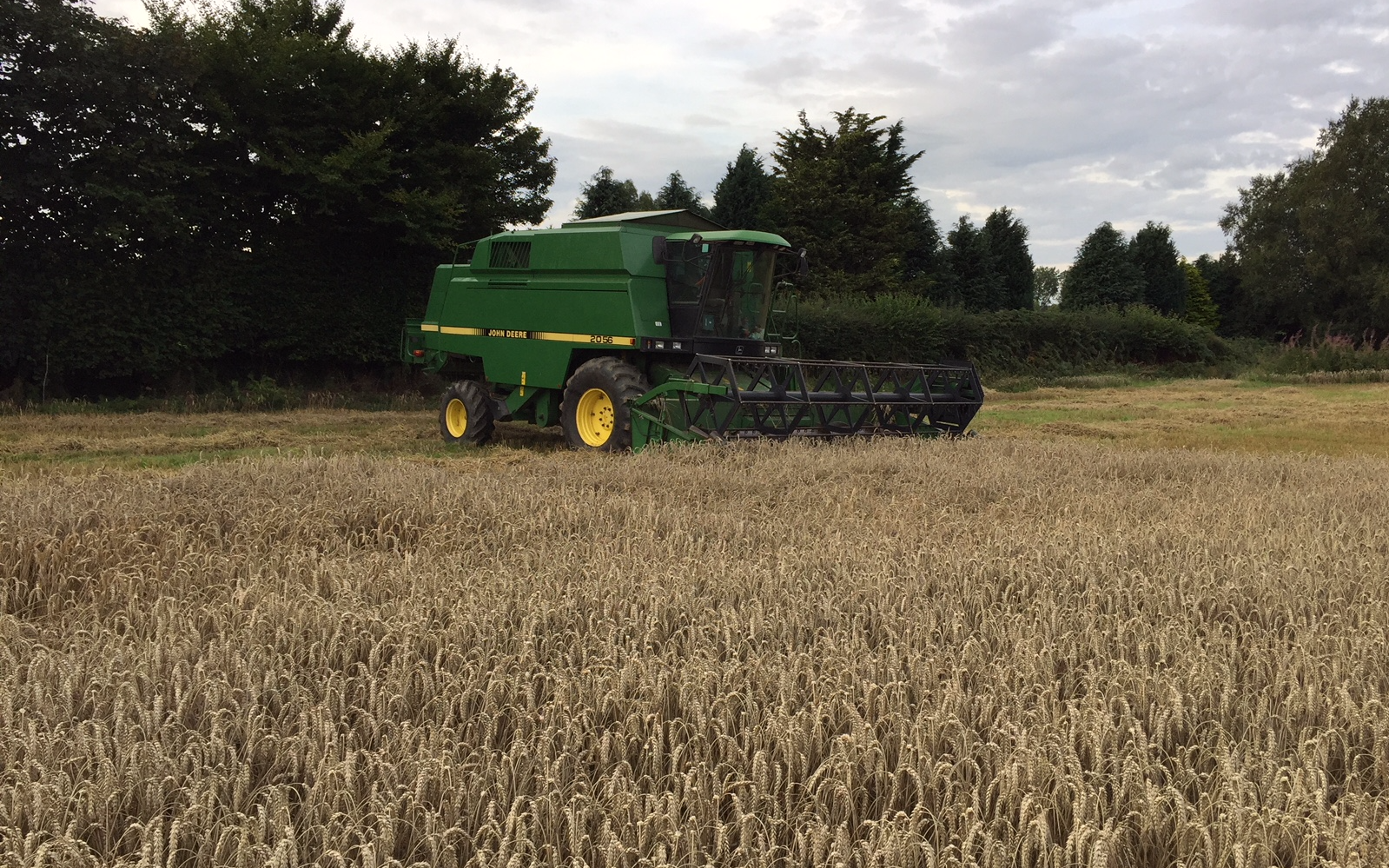 Land and forestry ltd with Combine harvester at United Kingdom