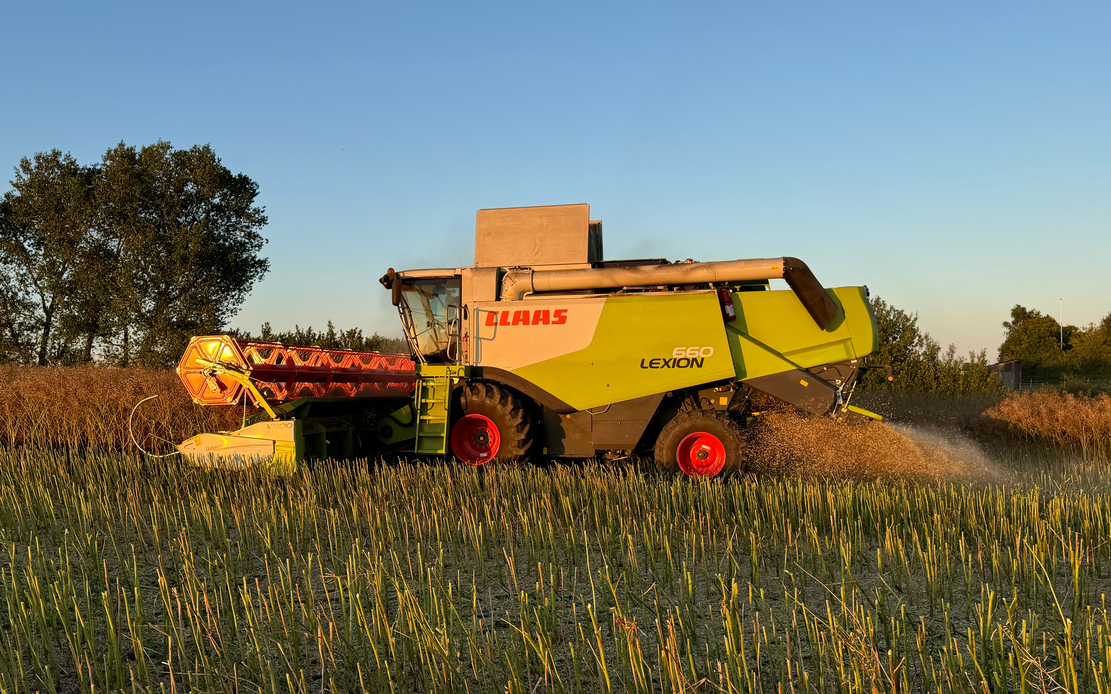 Navn med Mejetærskning ved Dalmose