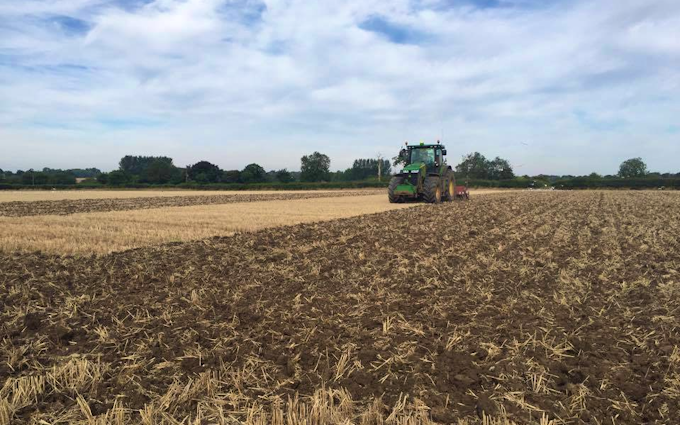 Cole agriculture  with Stubble cultivator at Cranworth