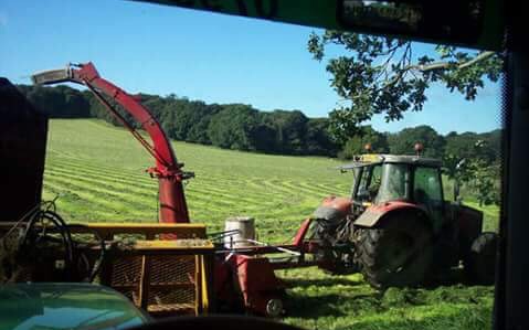 B & aj elson with Forage harvester at Thringstone