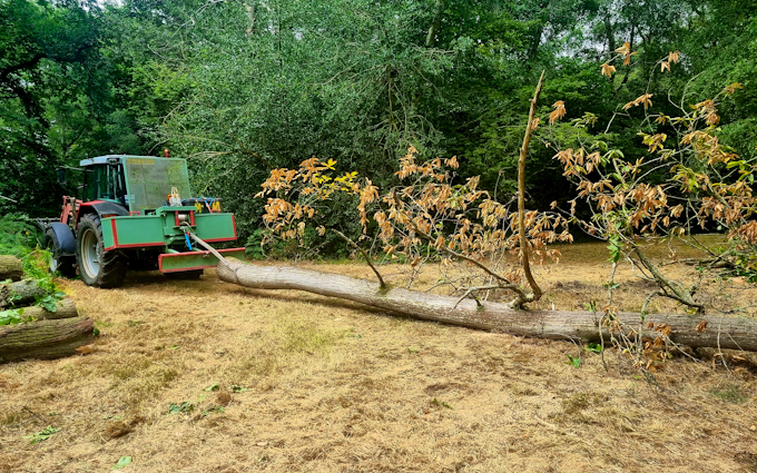 Acc contracting with Forestry winch at Bramley
