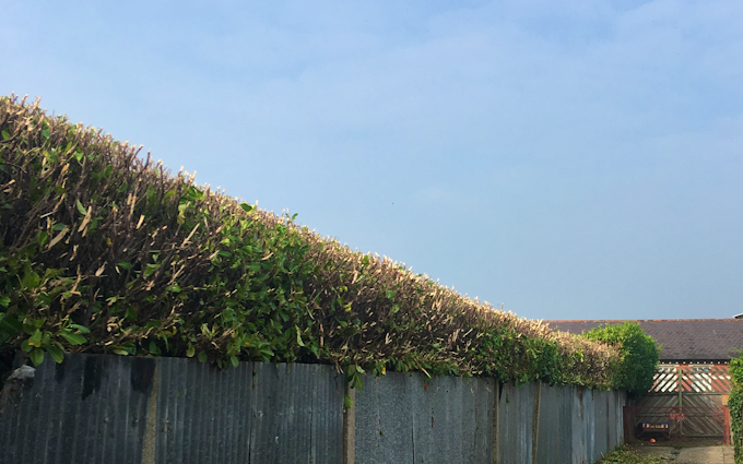 J h a agricultural and horticulture services  with Hedge cutter at United Kingdom