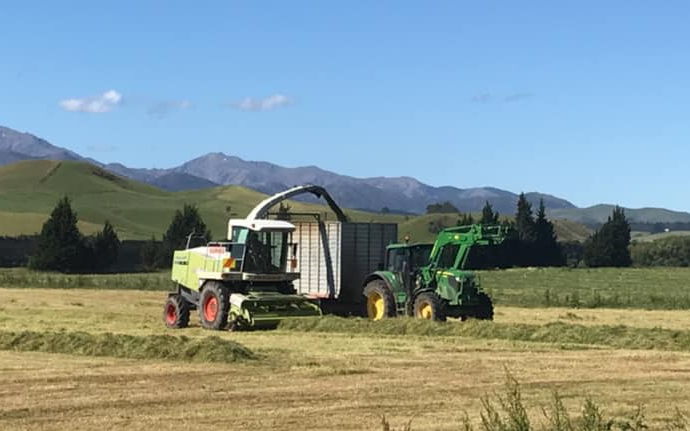 C j phillips contracting with Forage harvester at Thornbury