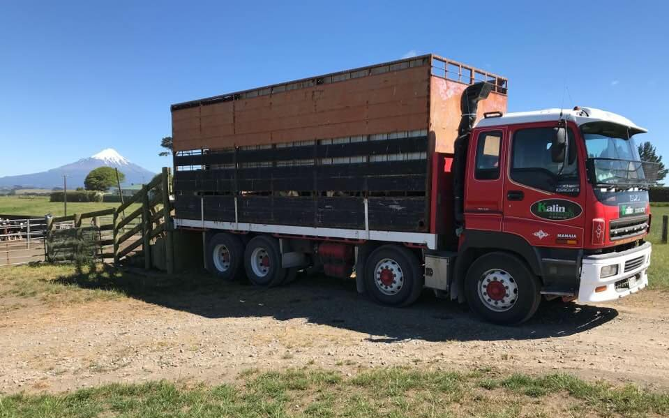 Kalin contracting ltd with Livestock trailer at Manaia