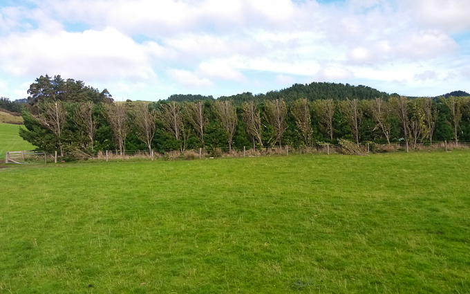 Tararua hedge cutting ltd. with Hedge cutter/mulcher at Mangatainoka