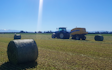 Woudenberg contracting with Round baler at West Melton