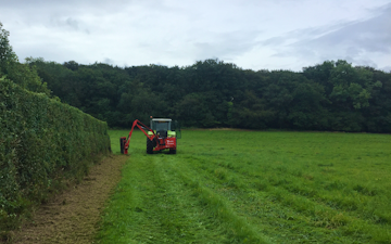 Bright’s agri contracting with Hedge cutter at Barn Park
