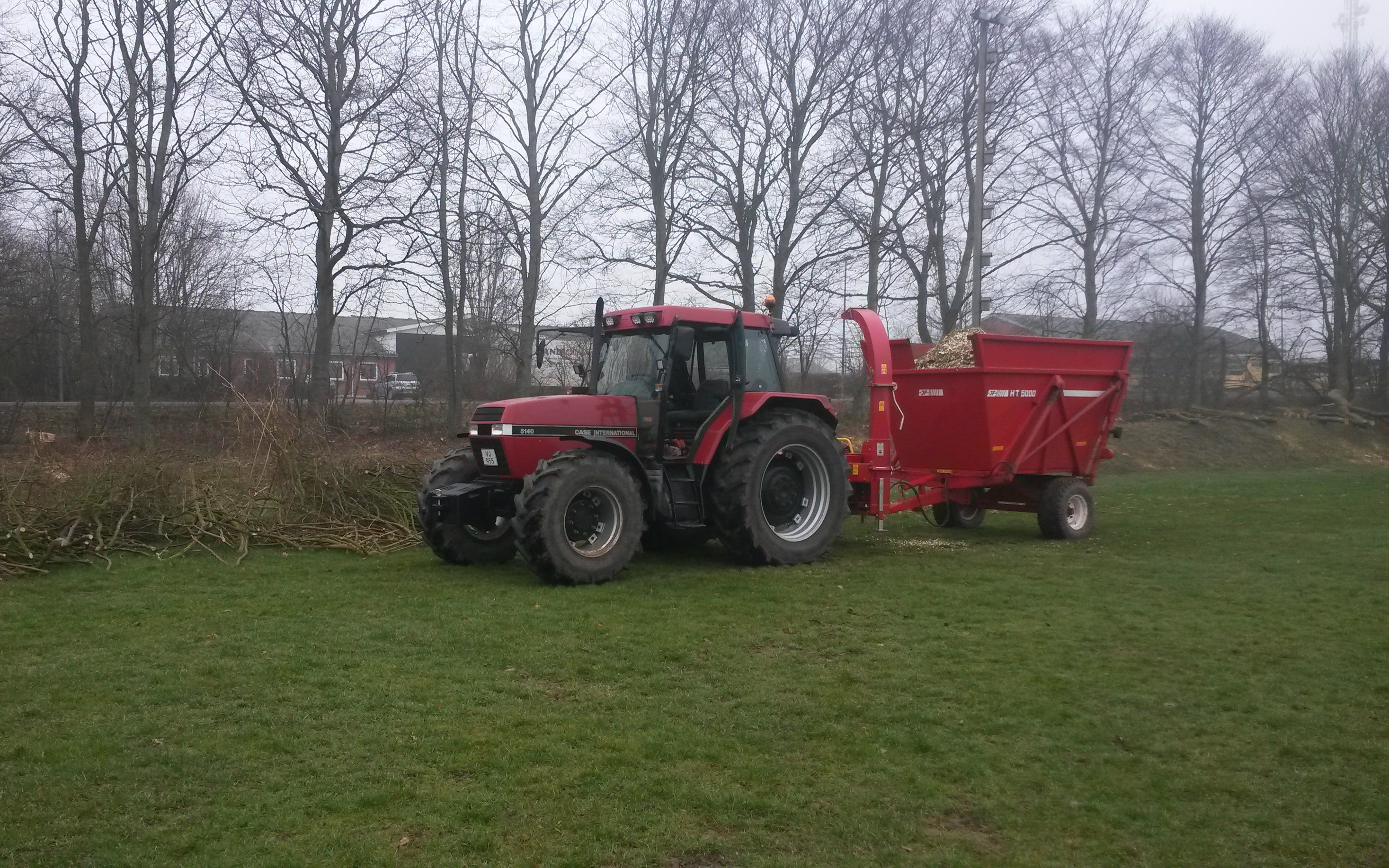 Askebjerg med Flishugger ved Vorbasse