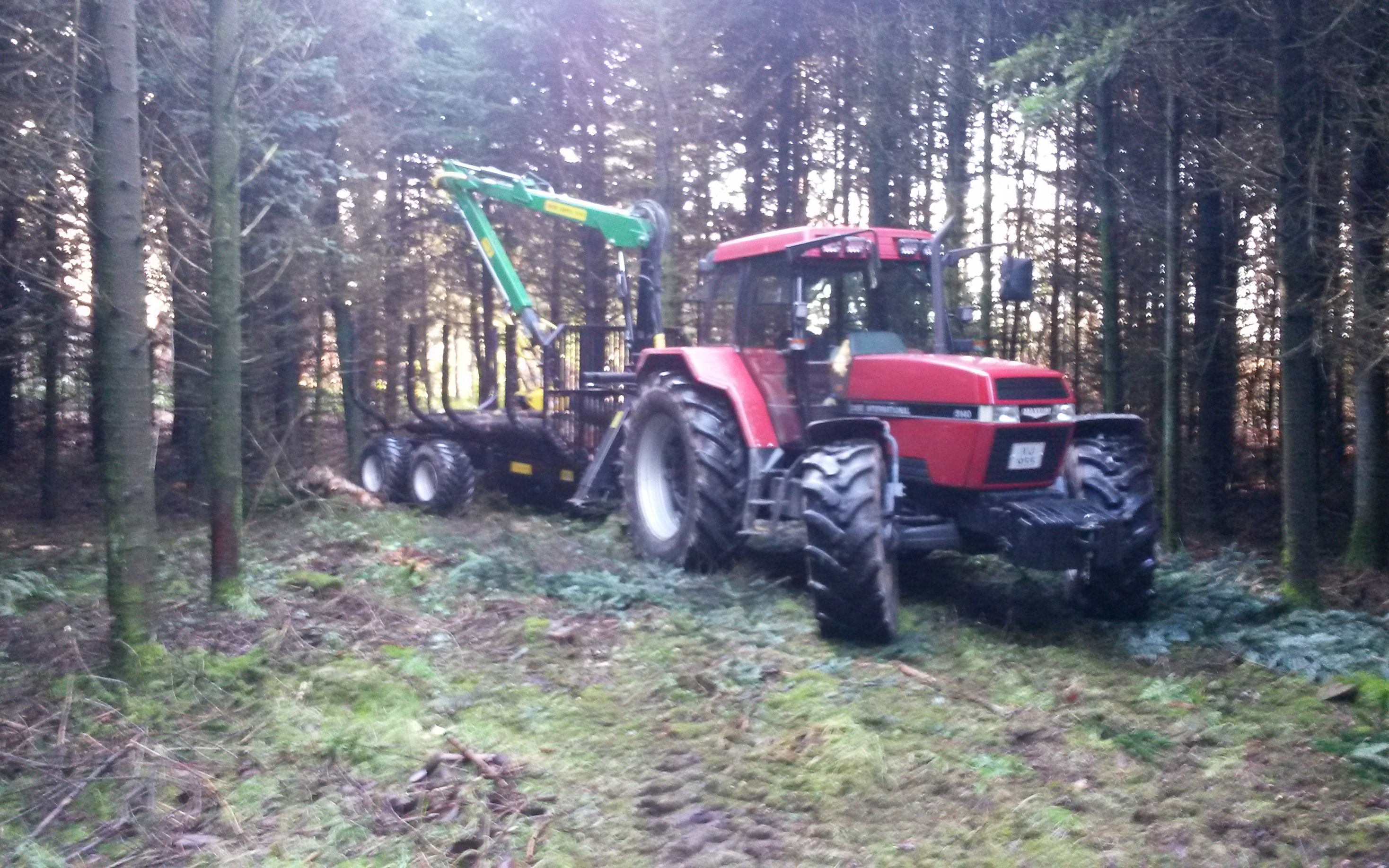 Askebjerg med Udkørsel/Udslæbning ved Vorbasse