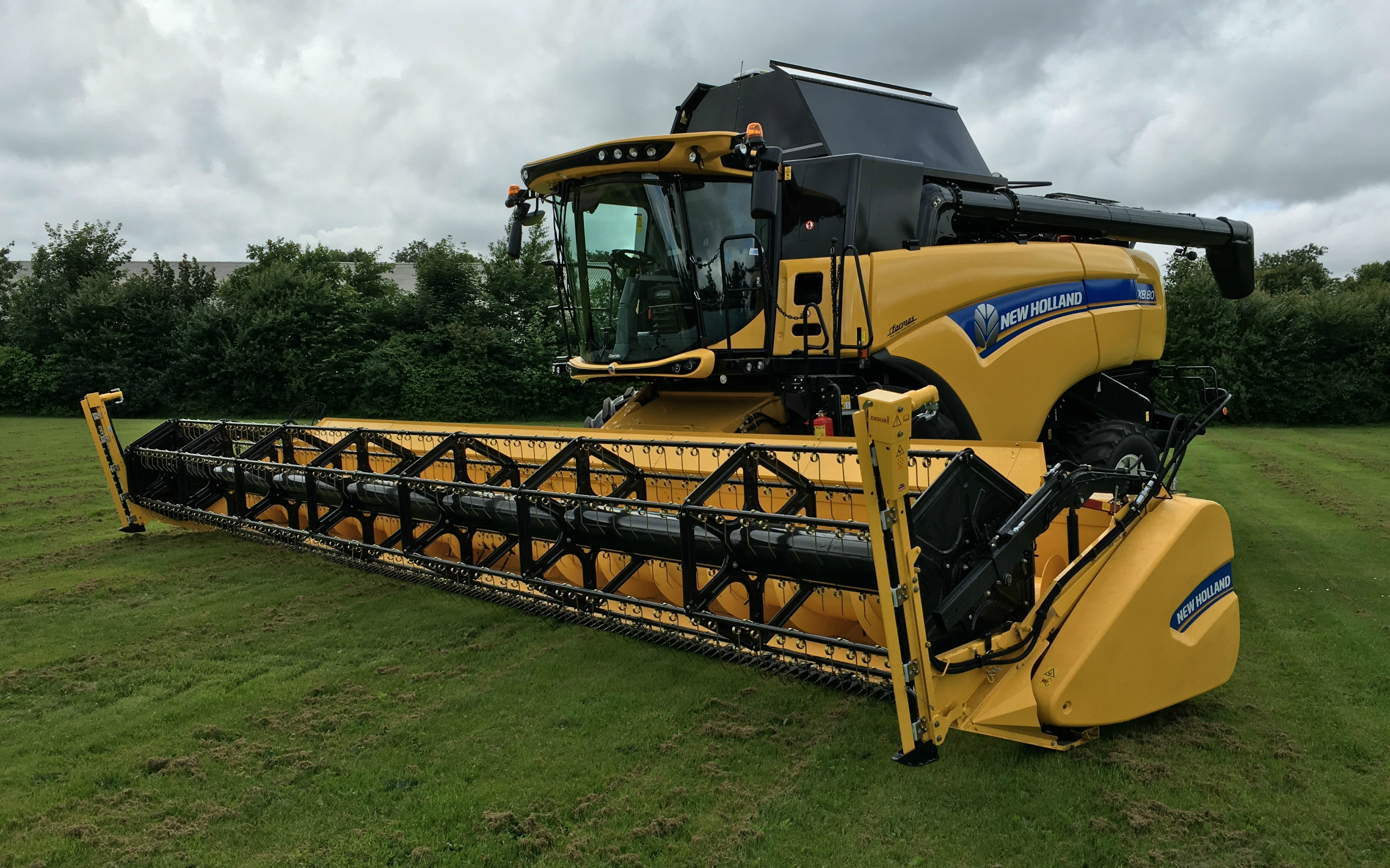 Thing svineproduktion med Mejetærskning ved Hvilshøj