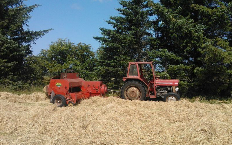 Pølsmark hø med Småballepresser ved Tim