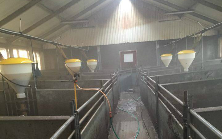 Hj service med Staldvask ved Fårup