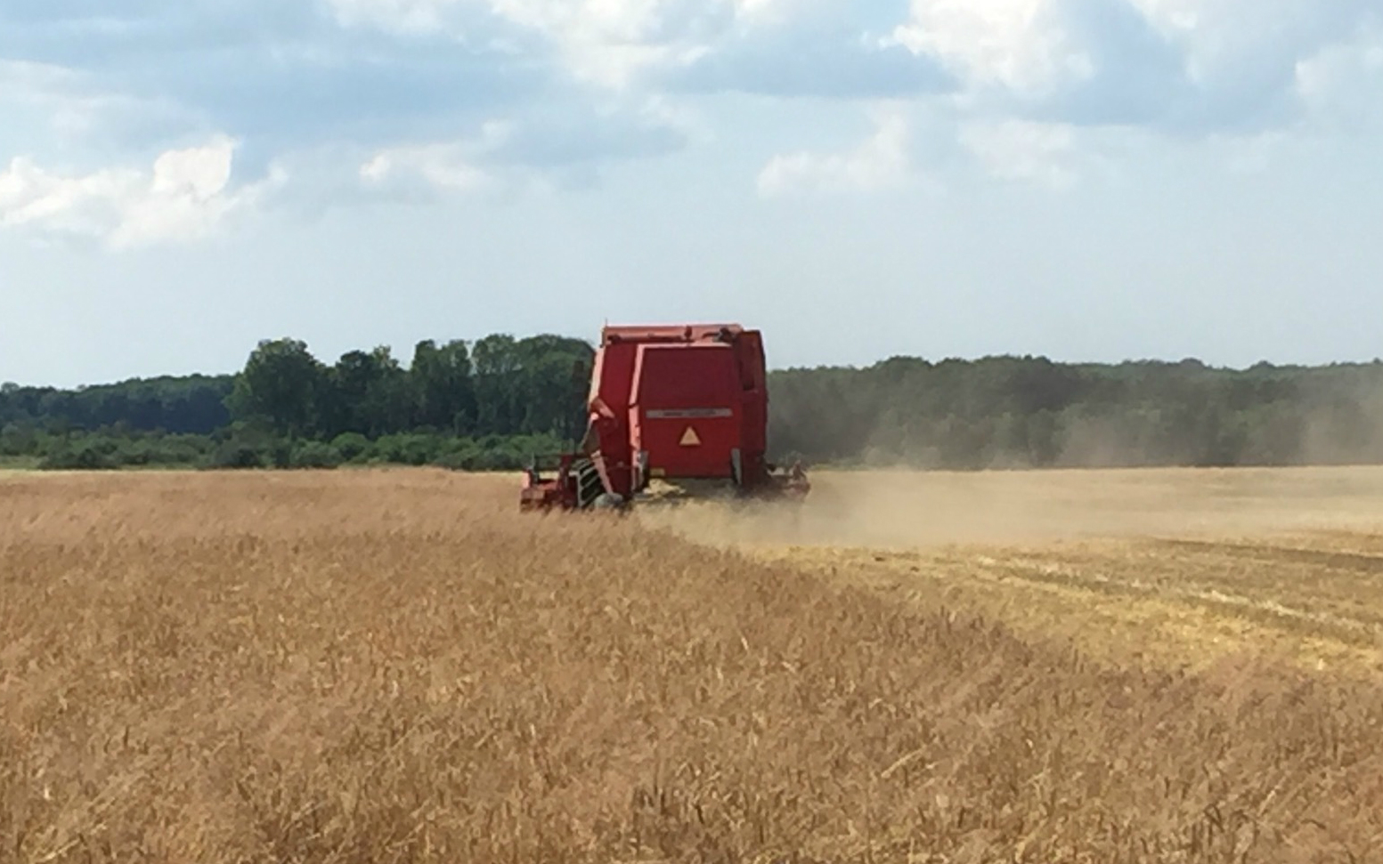 Engaarden med Mejetærskning ved Tølløse