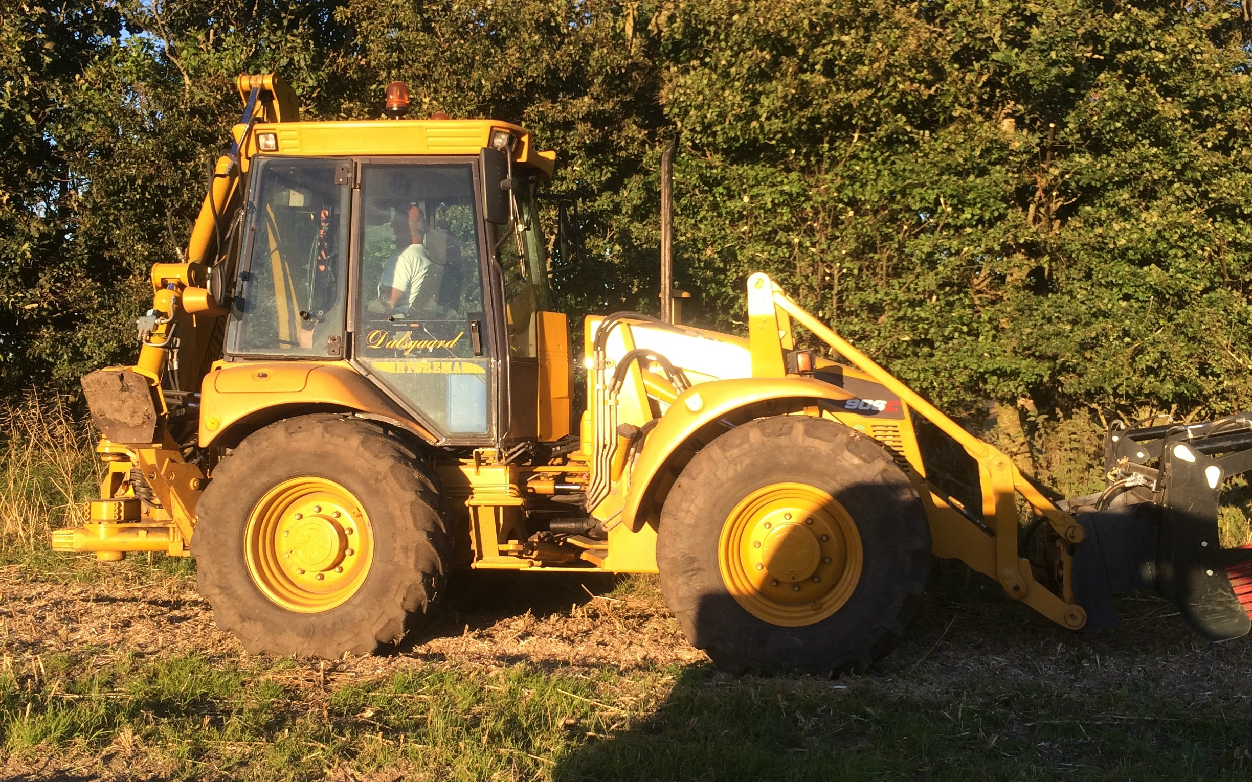 A. j. udlejning med Hegnsklipper ved Kongerslev