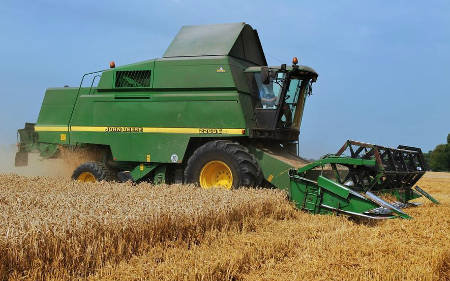 Nørregaard grise med Mejetærskning ved Gram